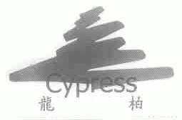 龙柏;CYPRESS