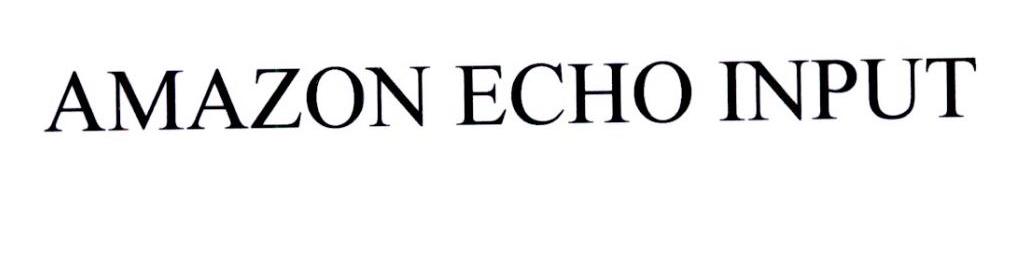 AMAZON ECHO INPUT