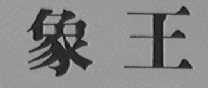 象王
