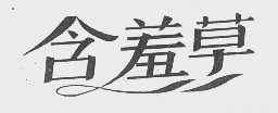 含羞草