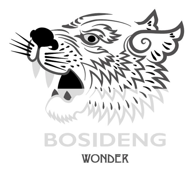 BOSIDENG WONDER
