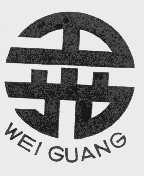 卫光