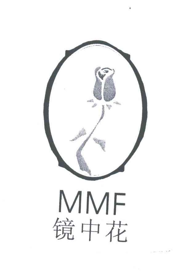 镜中花;MMF及图形