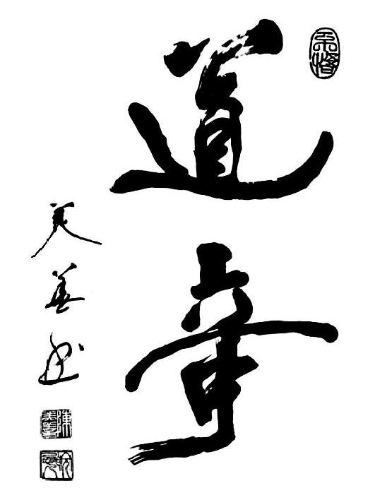 道奇 美善书 不悟 陈伟善 皖西人