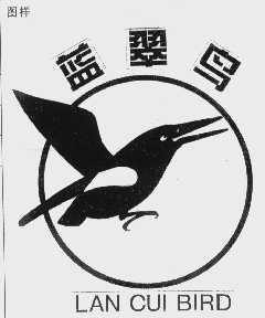 蓝翠鸟   LAN CUI BIRD