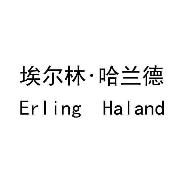 埃尔林&middot;哈兰德 ERLING HALAND