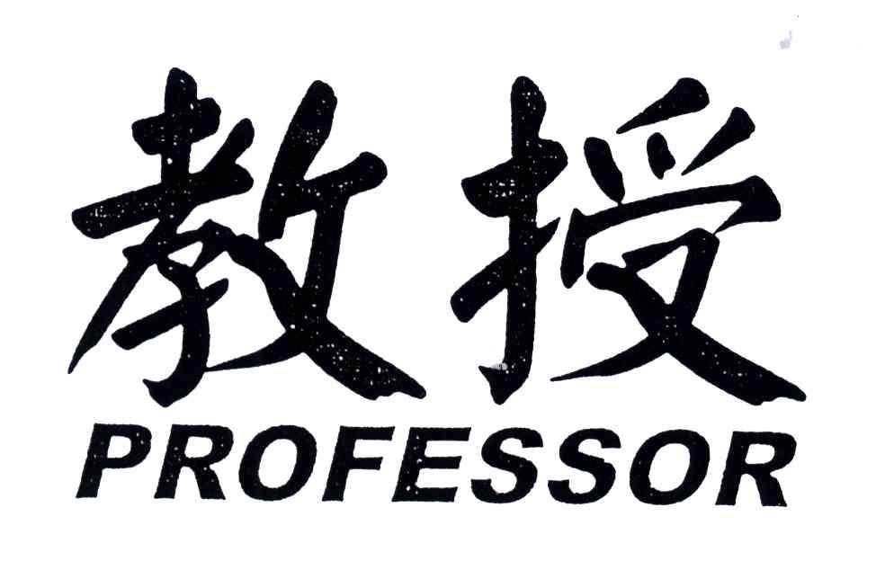 教授;PROFESSOR