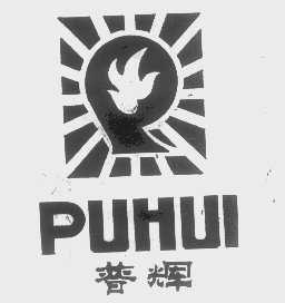 普辉