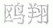 鸥翔