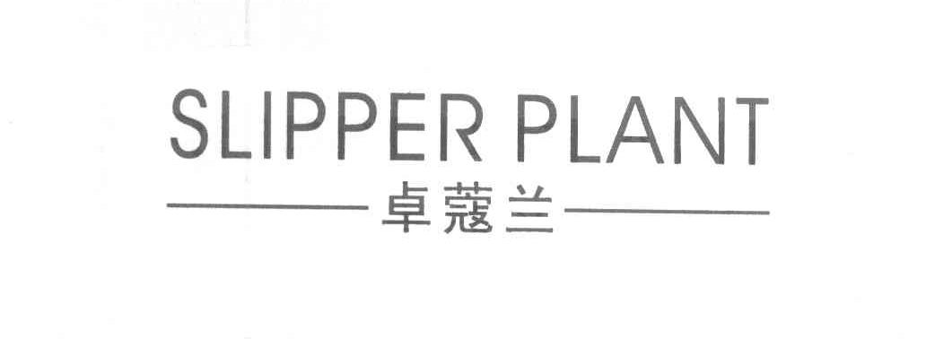 卓蔻兰 SLIPPERPLANT