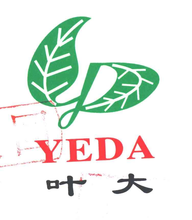 叶大