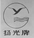 扬光