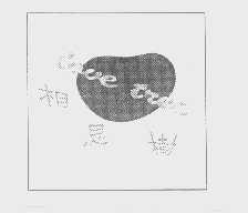 相思树   LOVE TREE