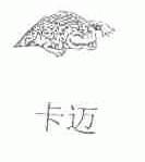 卡迈