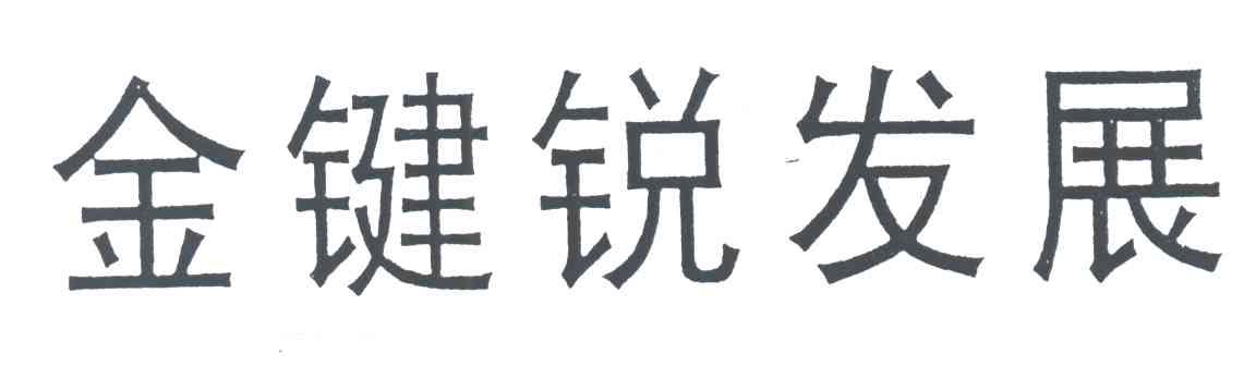 金键锐发展