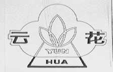 云花