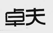 卓夫