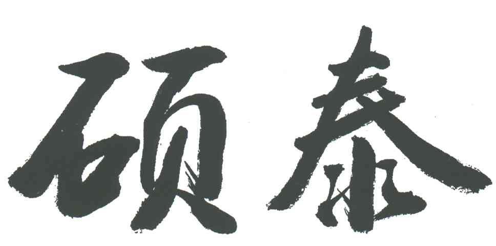 硕泰