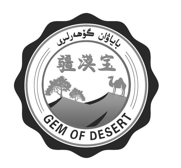 疆漠宝 GEM OF DESERT
