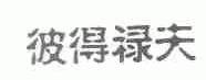 彼得禄夫