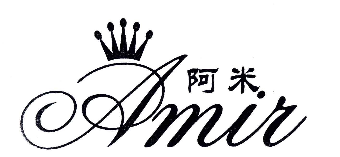 阿米;AMIR