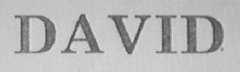 DAVID
