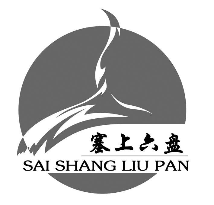 塞上六盘
