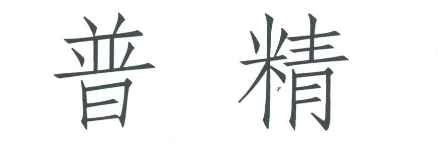 普精