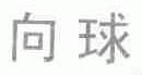 向球