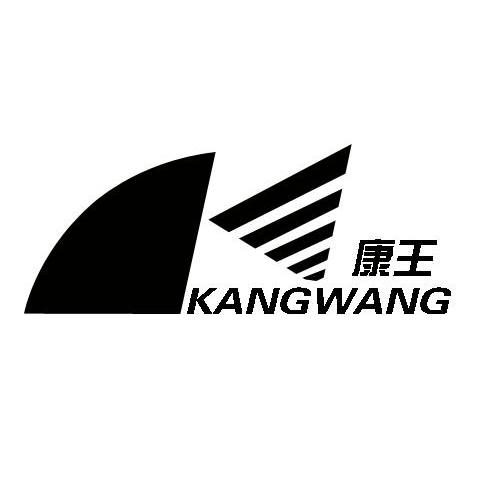 康王