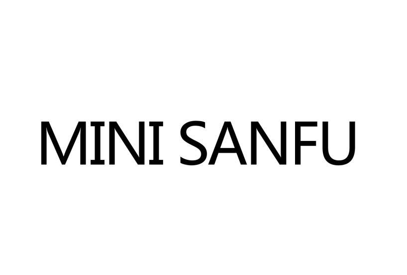 MINI SANFU