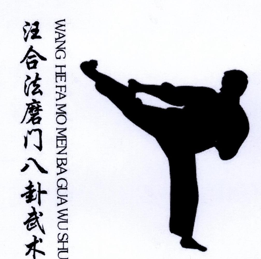 汪合法磨门八卦武术