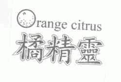 橘精灵  ORANGE CITRUS