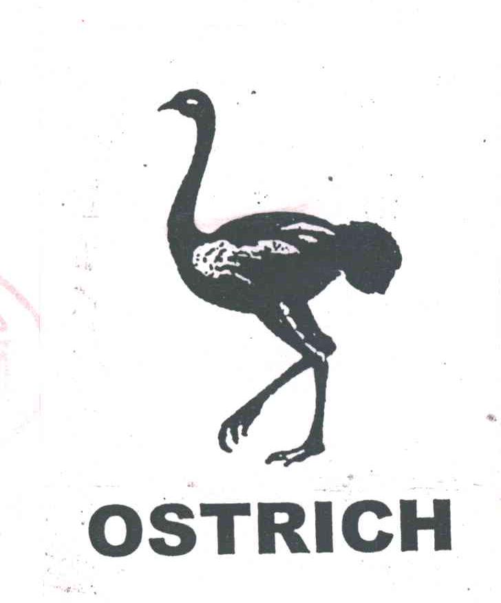 OSTRICH
