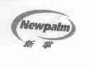 新掌;NEWPALM
