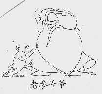 老参爷爷