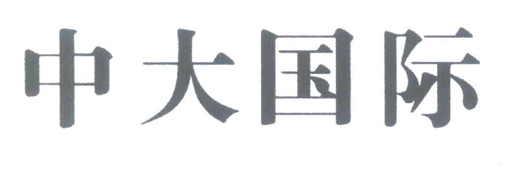 中大国际