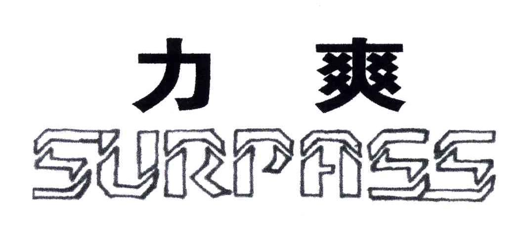 力爽;SURPASS