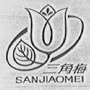 三角梅