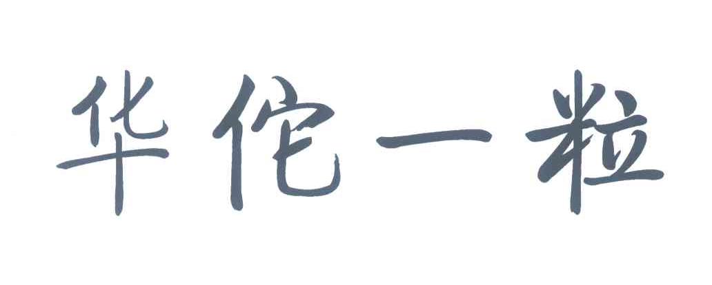 华佗一粒