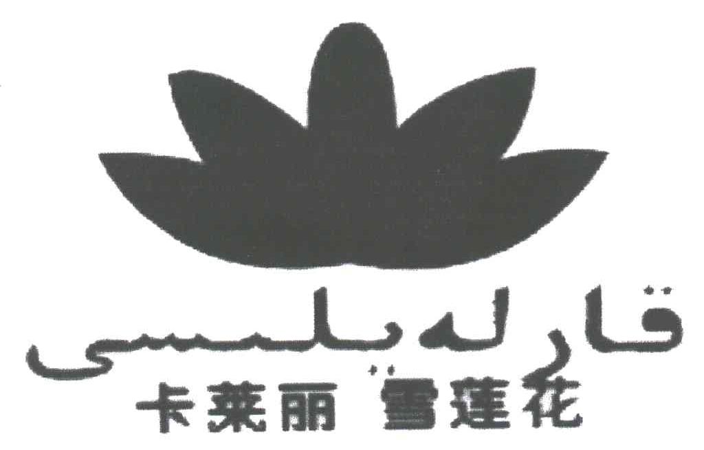 卡莱丽雪莲花及图