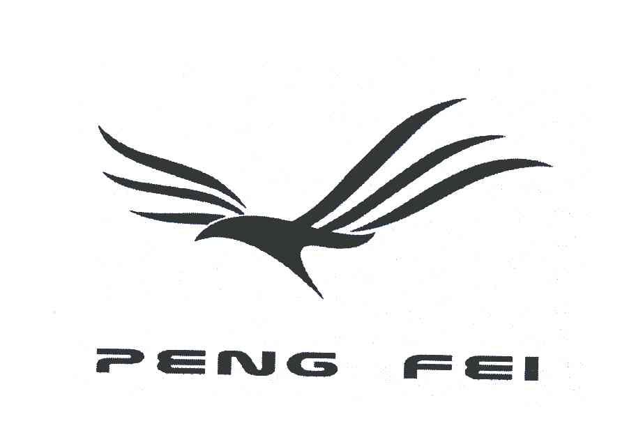 PENG FEI