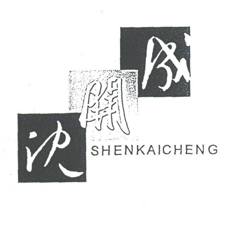 沈开成
