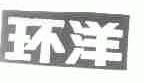 环洋