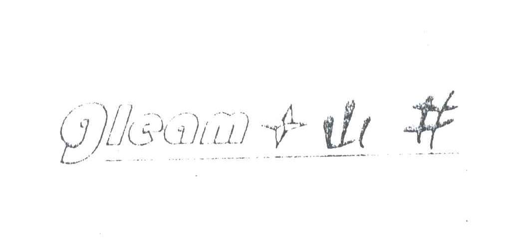 山井;GLEAM