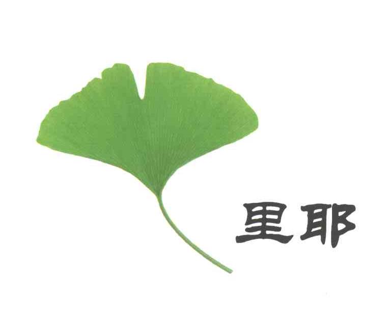 里耶
