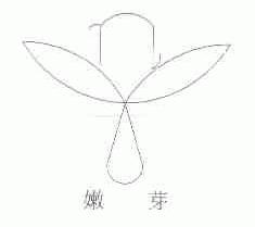 嫩芽