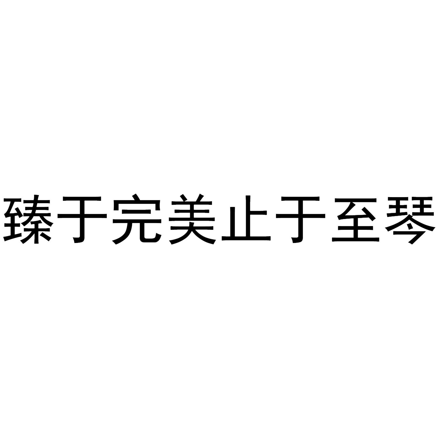 臻于完美止于至琴