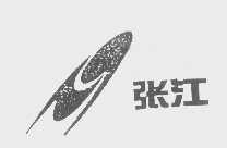 张江