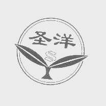 圣洋
